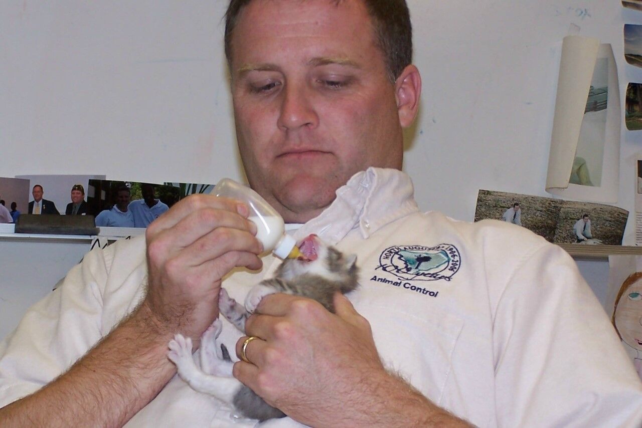 Mike Strauss_chaton.jpg
